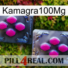 Kamagra100Mg 01
